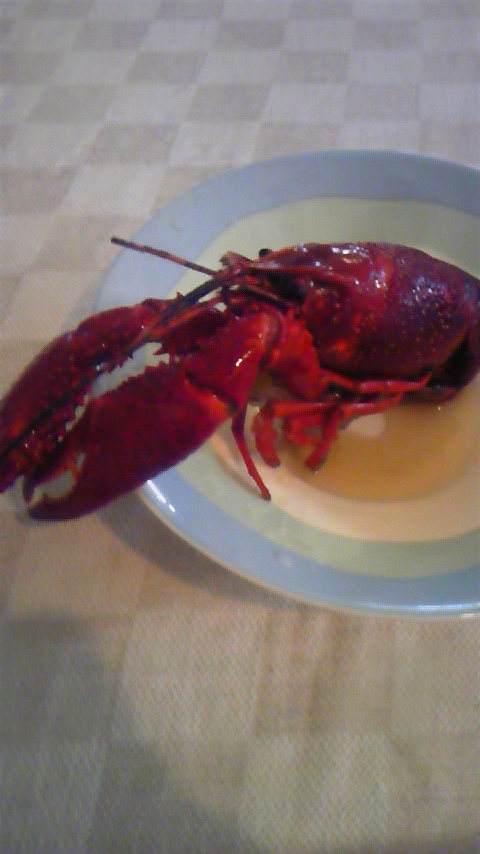 100805_175223.jpg