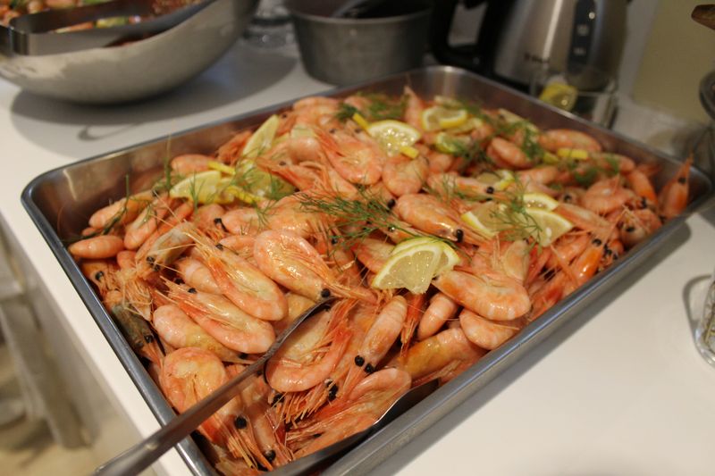 Shrimp
